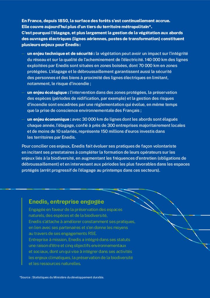 Information ENEDIS Elagage P1