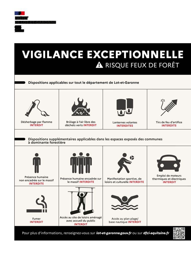 Risques feu de forêt: Affiche Noir