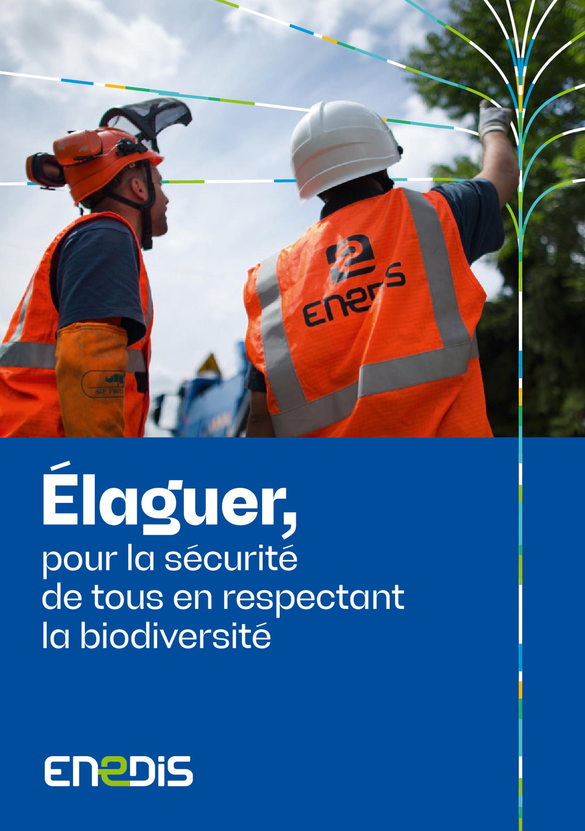 Information ENEDIS Elagage P0