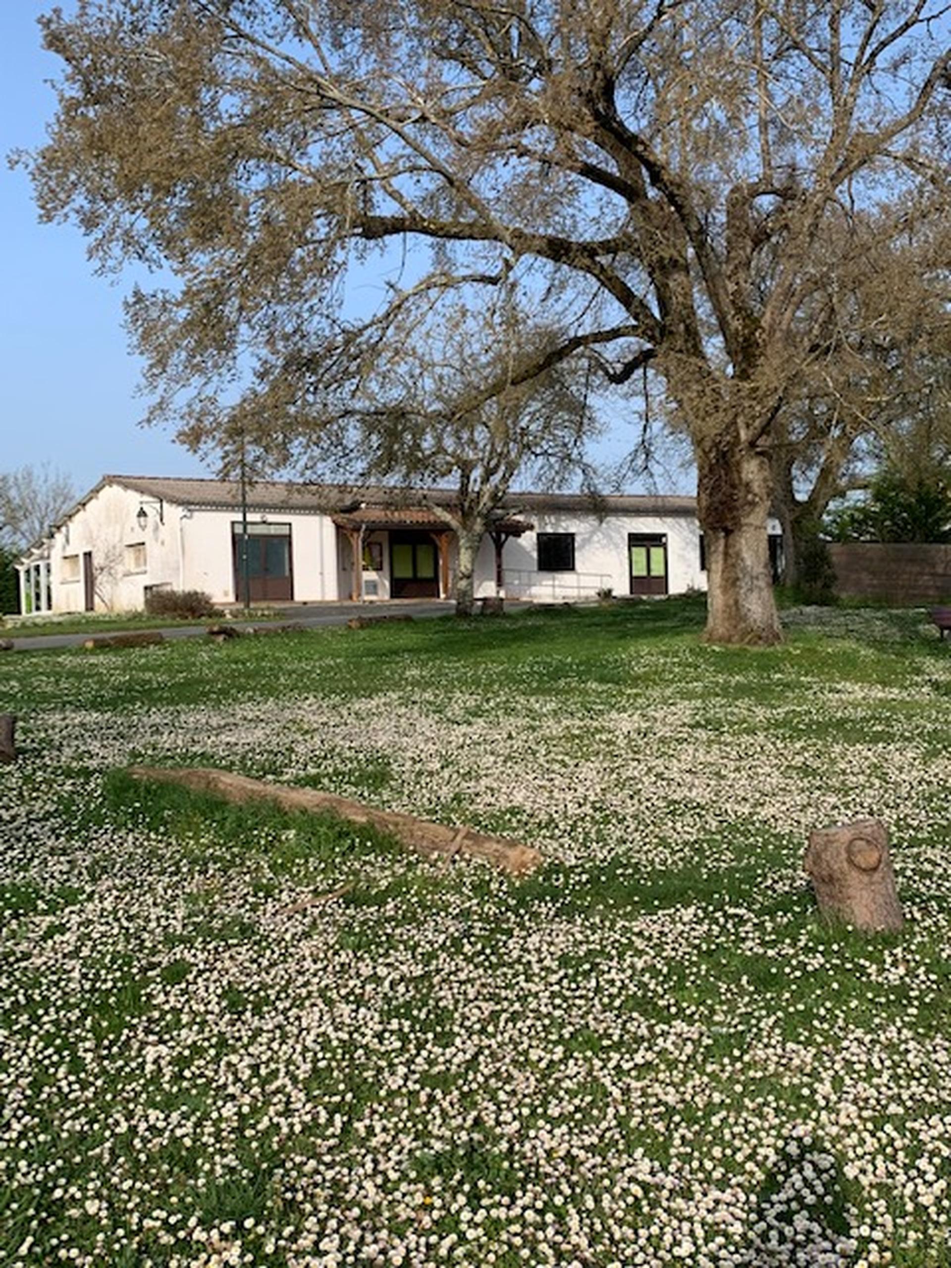 Salle des Fêtes & Pâquerettes