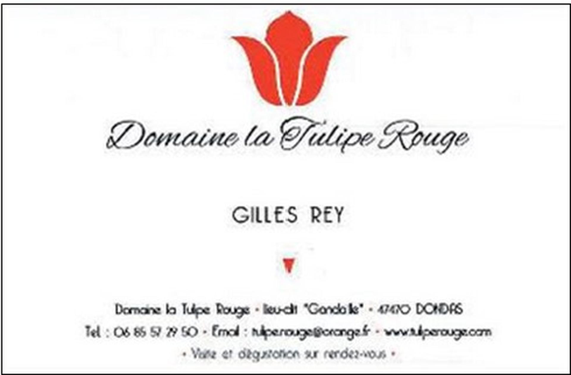 Vignoble "La Tulipe Rouge"